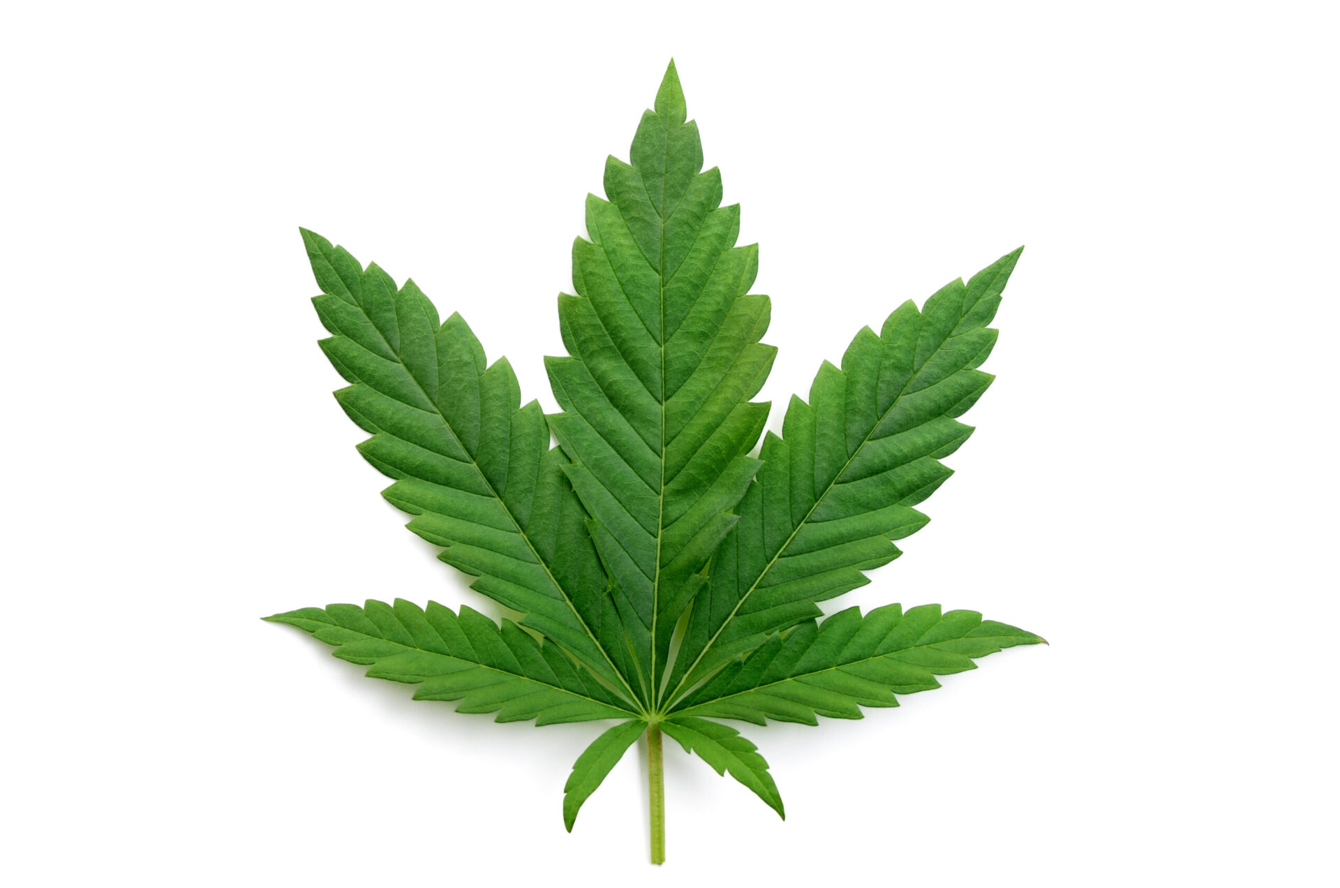 Medical Marijuana - CE4Less